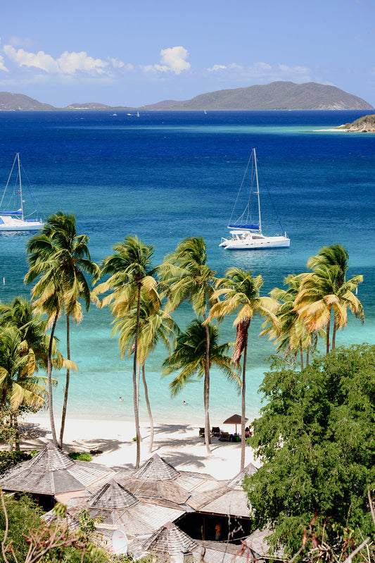 Framed artwork of a tropical beach with palm trees, clear blue water, and yachts. SHOP Caribbean Fine Art Photographic Wall Art Prints. Bring the vacation mood into your home with palm trees and sailing boats. Caribbean Wall Art Prints.