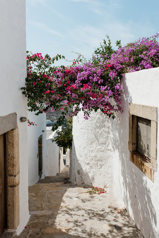 Narrow street with white walls and pink flowers in a Mediterranean setting. Bougainvillea Fine Art Photography Prints by Brooke Darling. Bring the floral dream of Greece into your home with Greek Island fine art photography prints.