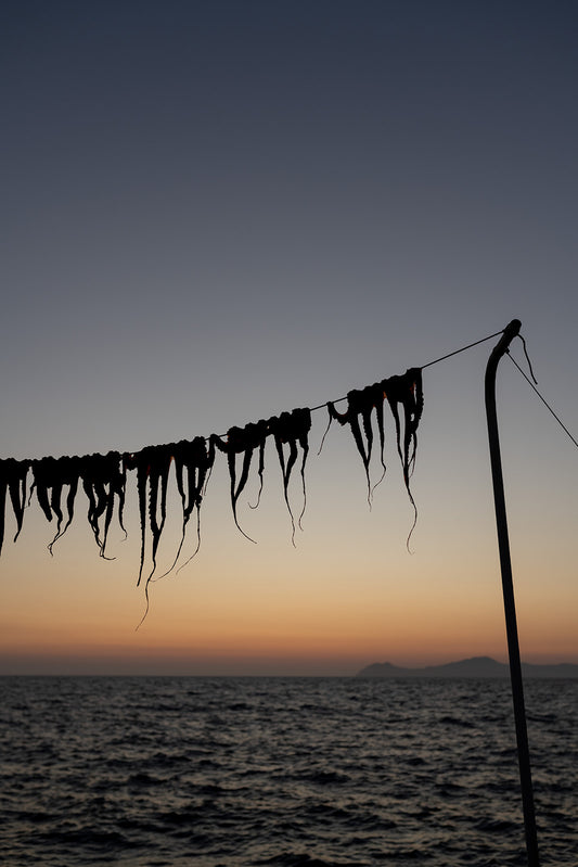 Bring the taste and senses of Greek food into your home with Greek food fine art prints to hang on your walls. Art prints of octopus legs drying at sunset.