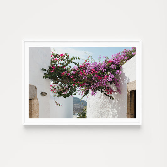 Greece Fine Art Print captured on the island of Patmos featuring a beautiful bougainvillea garden in the hora.