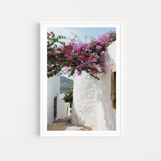 Greece Fine Art Print captured on the island of Patmos featuring a beautiful bougainvillea garden in the hora. Available as Bougainvillea wall art prints.