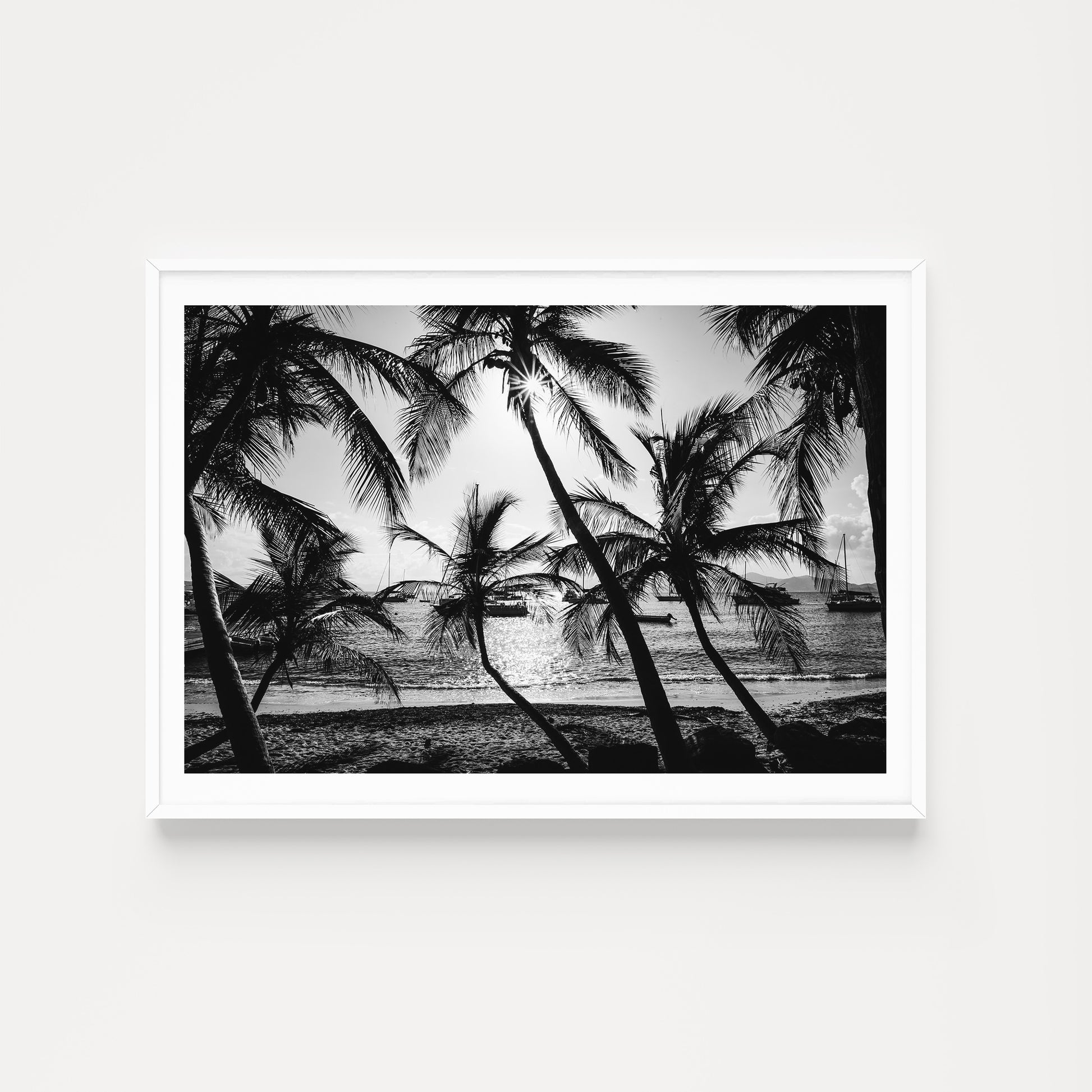 Black and white photo of palm trees on a beach with boats in the background. Shop Caribbean Wall Art and Black and White Palm Tree Photographic Art Prints. Monochrome palm tree vibe into your space. Palm Tree Fine Art Prints.