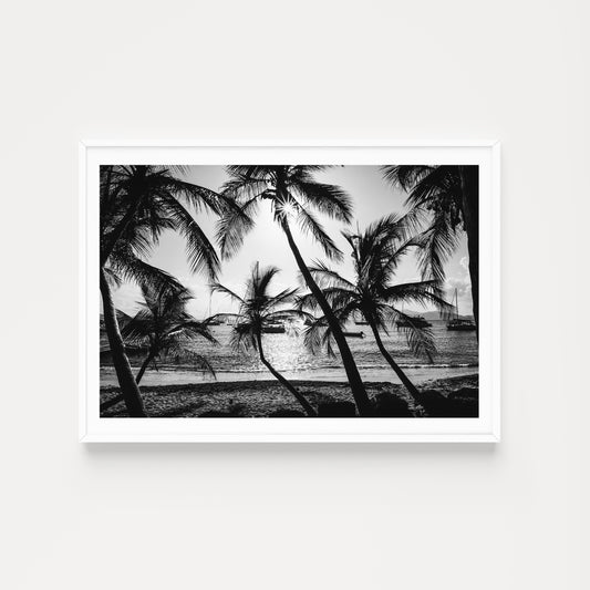 Black and white photo of palm trees on a beach with boats in the background. Shop Caribbean Wall Art and Black and White Palm Tree Photographic Art Prints. Monochrome palm tree vibe into your space. Palm Tree Fine Art Prints.