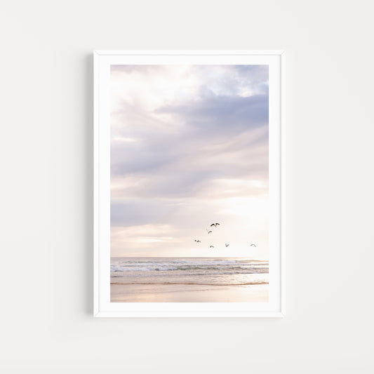 Coastal Australian fine art print featuring seagulls flying above the sand on a Queensland beach at sunrise. Mocked up in a white frame, portrait format and sold as a coastal Australian fine art print. 