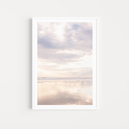 Coastal Australian fine art print featuring seagulls skimming along the mirror like sand on a Queensland beach at sunrise. Mocked up in a white frame, portrait format and sold as a coastal Australian fine art print. 