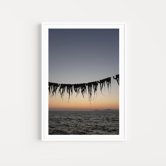 Bring the taste and senses of Greek food into your home with Greek food fine art prints to hang on your walls. Art prints of octopus legs drying at sunset. 