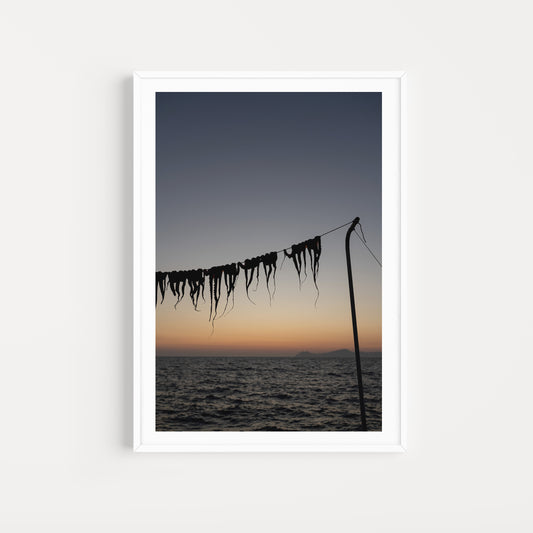 Bring the taste and senses of Greek food into your home with Greek food fine art prints to hang on your walls. Art prints of octopus legs drying at sunset. 
