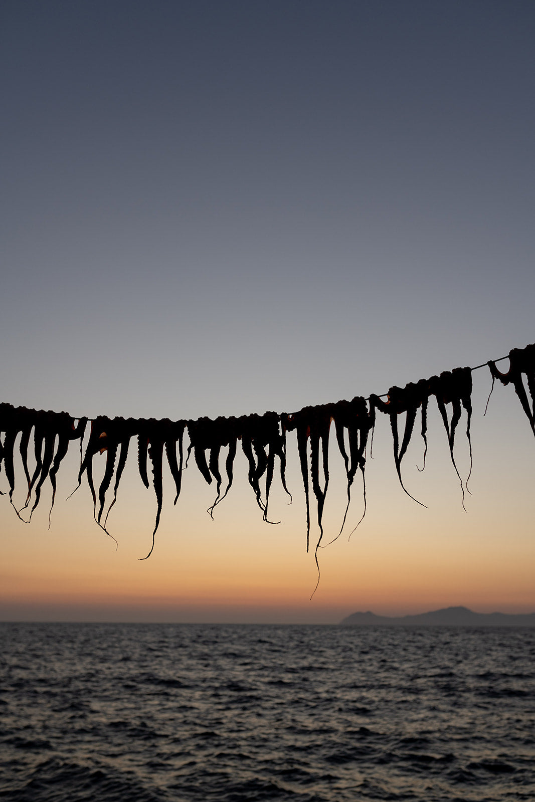 Bring the taste and senses of Greek food into your home with Greek food fine art prints to hang on your walls. Art prints of octopus legs drying at sunset. 