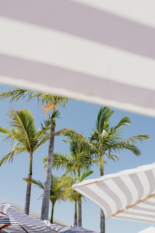 Framed artwork of a tropical scene with palm trees and striped umbrellas. SHOP our collection of palm trees and umbrella fine art prints. Bring the holiday atmosphere into your home. Umbrella and palm tree art prints. 