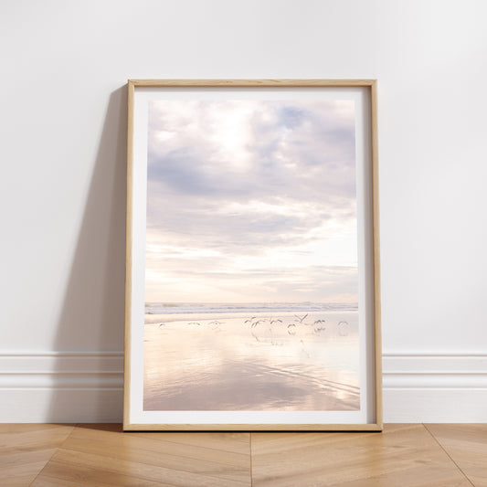 Coastal Australian fine art print featuring seagulls skimming along the mirror like sand on a Queensland beach at sunrise. Mocked up in a white frame, portrait format and sold as a coastal Australian fine art print. 