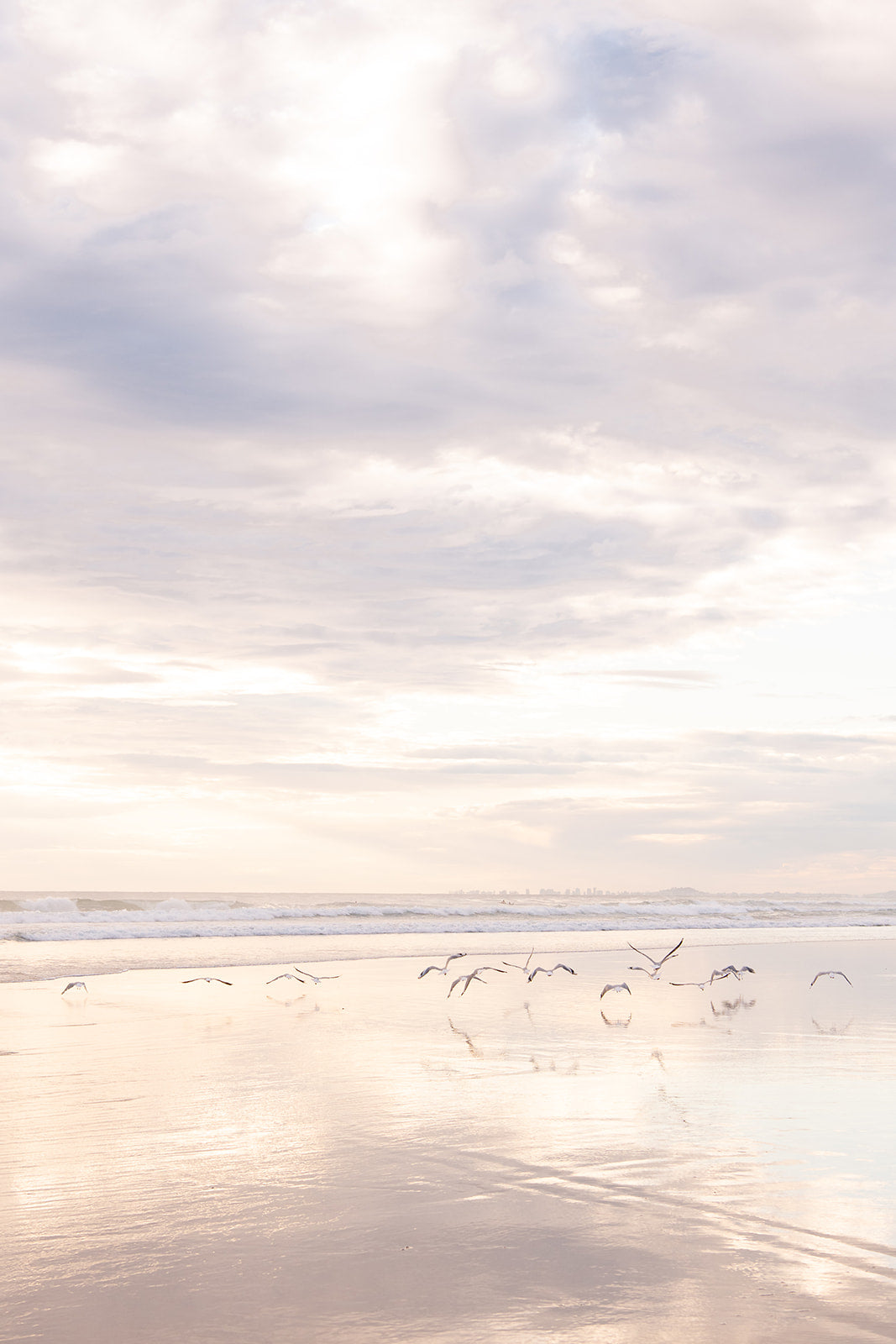 Coastal Australian fine art print featuring seagulls skimming along the mirror like sand on a Queensland beach at sunrise. Shown in portrait format and sold as a coastal Australian fine art print. 